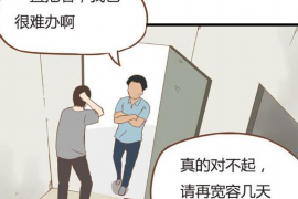 临港专业讨债公司有哪些核心服务？