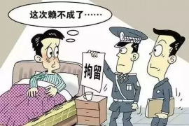 临港为什么选择专业追讨公司来处理您的债务纠纷？